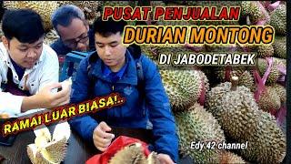 jual durian montong di Jababeka  berburu durian Montong di kebun buah