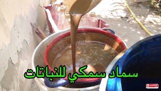 صنع سماد عضوي سمكي مع دبس التمر fish fertilizer with dates molasses