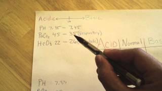 How to Master ABGs Arterial Blood Gasses