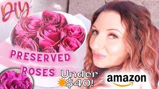 Mistakes to Avoid When Preserving Forever Roses  DIY Eternal Roses from Amazon Items