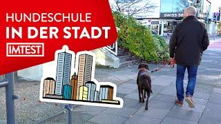 Hundeschule Teil 8 Spazieren in der Stadt