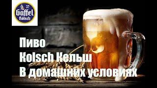 Пиво клон  Кельш Kölsch варим в домашних условиях. Видео 18+