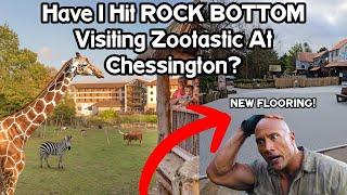 Have I Hit ROCK BOTTOM Visiting Zootastic At Chessington?