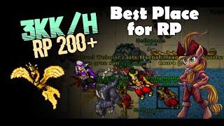 RP 200+ Hunt Paladin Solo Asura Palace  3kkh  Fast Exp - Tibia