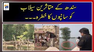 The victims of Sindh flood became a big problem - Capital Talk - Geo News - 15th Sep 2022