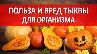 Чем полезна тыква для организма. Свойства тыквы и ее вред.