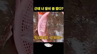 기빨리는 소래포구. 왜 상인들은 손님한테 반말할까?