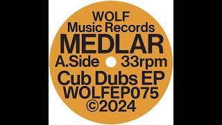 Medlar & Logea - Tout Est Fini Cub Dubs EP