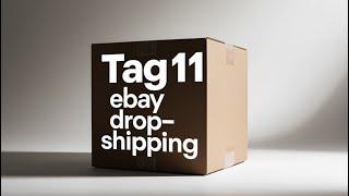 ebay dropshipping automatisieren - Tag 11