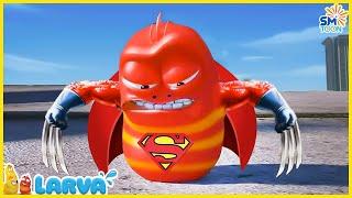 Larva Season 3 Full Episode  New Cartoon Comedy 2024  Larva Cartoons - Comics HD  Larva Official