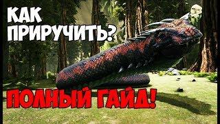 КАК ПРИРУЧИТЬ ВАСИЛИСКА? ОБЗОР УМЕНИЙ — ПОЛНЫЙ ГАЙДBASILISK TAMING ► Ark Survival Evolved #10