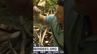 Reporter eats live worm on TV  FOX 29 News Philadelphia #philly #nature #news #strange