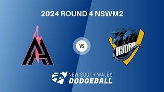2024 NSWDL R4 Mens Div 1 Avalon Assassins vs Villawood Hydra