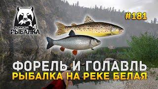 Форель и Голавль. Рыбалка на реке Белая - Русская Рыбалка 4 #181