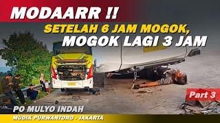 KOK GINII ⁉️ 65 JAM MOGOK TAMBAH LAGI 3 JAM  BUS MULYO INDAH  Bis Malam Jakarta Wonogiri - Part 3