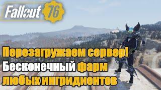 Fallout 76. Самый быстрый способ перезагрузки сервера Бесконечный фарм любых ингредиентов