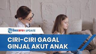 Ciri ciri Gejala Gagal Ginjal Akut pada Anak anak dari Batuk Pilek Mengantuk hingga Demam