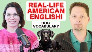 REAL-LIFE AMERICAN ENGLISH  VOCABULARY WITH PETS  DOGS AND CATS  ENGLISH AMERICAN PRONUNCIATION