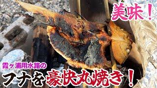 美味！霞ヶ浦用水路のフナを豪快丸焼き