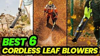 Top Cordless Leaf Blowers of 2024 Blow Through Fall