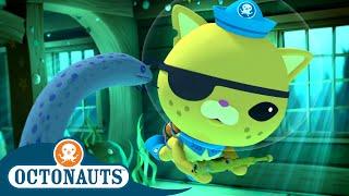 ​ @Octonauts - The Slippery Slime Eels  Full Episode 26  Cartoons for Kids