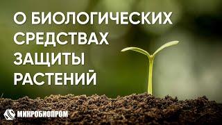 Биологические средства защиты растений. Классификация и принцип действия.