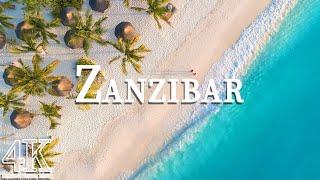 Zanzibar in 4K ULTRA HD - Tropical Paradise in Africa  Scenic Relaxation Film With Calming Music
