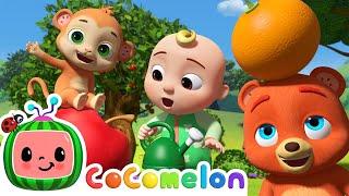 Grow Grow Grow Your Fruit Song  CoComelon Animal Time  Animals for Kids