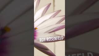 Roy Rosenfeld - Sansi ADID095 #Shorts