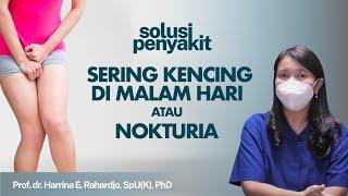 Ngeri Sering Kencing Di Malam Hari? Kenali Nokturia dan Penyebabnya  Kata Dokter #150