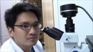 CRI Student Profile Liem Nguyen