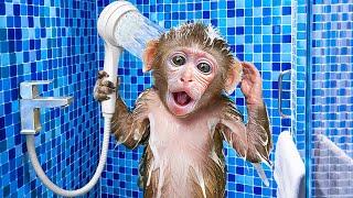 KiKi Monkey bathing in the toilet so funny with Duckling & play at swimming pool  KUDO ANIMAL KIKI