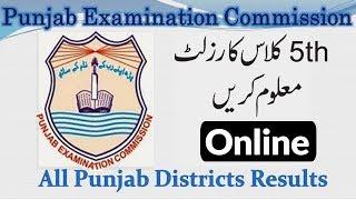 Check 5th Class Result 2018 - PEC 5th Class Result of all Boards of Pakistan