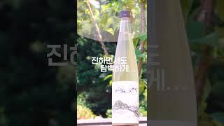 #바람의노래 #예술 #춘천 #강원도 #막걸리 전통주갤러리 2024년 7월 시음주