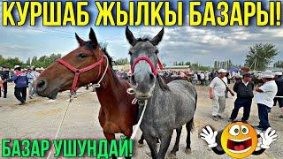 ЖЫЛКЫ БЭЭ БАЙТАЛ ТАЙ БААЛАРЫ  #байтв