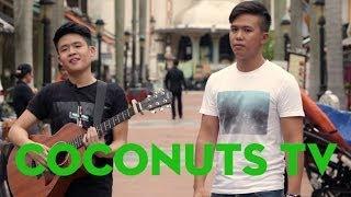 Coconuts Sessions Gentle Bones