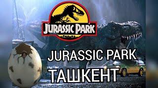 Ташкент 2023 Jurassic park в Ташкенте Торговый центр NEXT Влог Alo Tashkent