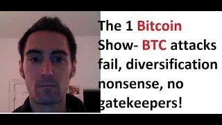 The 1 Bitcoin Show- BTC attacks fail diversification nonsense no gatekeepers
