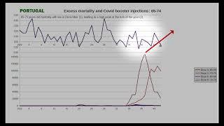 Predictions for Excess mortality in December 2022 came true