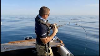 Sea Fishing UK - Exploring new areas catches lots of fish  The Fish Locker