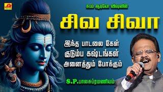 பங்குனி மாத பிரதோஷம் சிவன் பாடல்கள்  PRADHOSHAM NANDHI SHIVAN SONG #pradosham #spbsivansongs