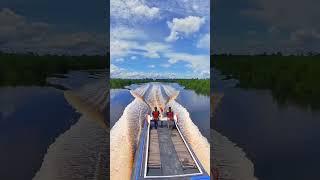 Sungai Suir Kepulauan Meranti - Sarang Buaya Muara #shorts