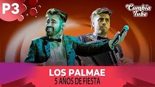 Los Palmae - 5 Años de Fiesta Vol. 3 - Show en Vivo