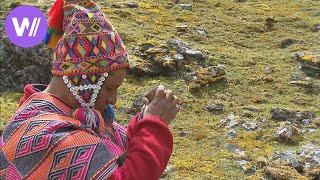 Schamane in Peru - Heiler Hellseher und mehr