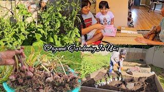 Dallekhursani Ropdai Ani Rayo saag TipdaiOrganic Gardening In Usa Ghar ko Organic GarlicUnboxing.