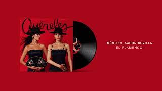 @mestiza_music  @AaronSevilla - El Flamenco  Afro House