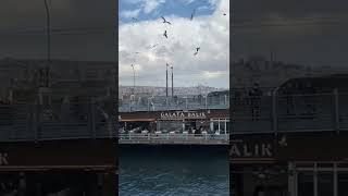 Galata Bridge Istanbul#shorts#moments#istanbul#istanbulturkey#galatabridge#istanbultourism
