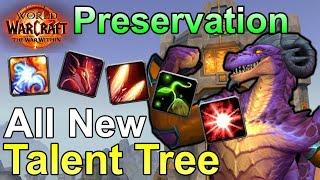 Preservation Evoker Is Strong In The War Within Alpha Gameplay and Talents
