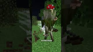 Minecraftta Esintilerin HİÇ Bilinmeyen Hikayesi #shorts #minecraft #short #shortsvideo #tiktok