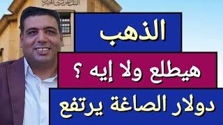 دولار الصاغة بيرتفع ؟ اسعار الذهب تستعد لعكس الاتجاه اليوم في مصر